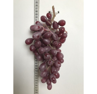 виноград 16 см , 45 ягод
