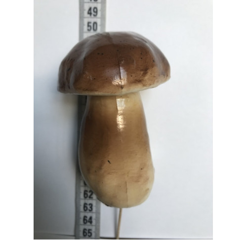 грибы большие